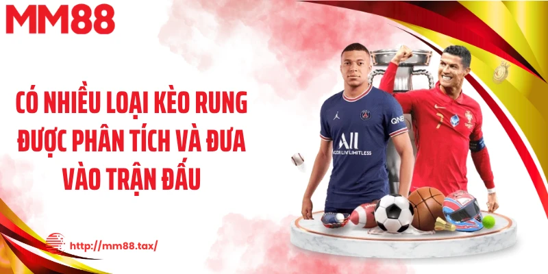 Có nhiều loại kèo rung được phân tích và đưa vào trận đấu