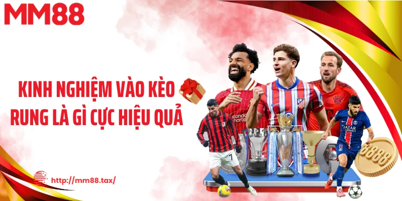 Kinh nghiệm vào kèo rung là gì cực hiệu quả