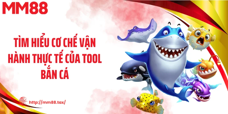 Tìm hiểu cơ chế vận hành thực tế của tool bắn cá