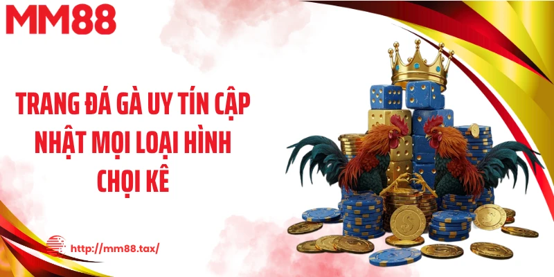 Trang đá gà uy tín cập nhật mọi loại hình chọi kê