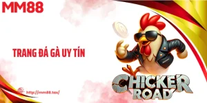 Trang Đá Gà Uy Tín MM88 - Trận Đấu Căng Thẳng, Đẫm Máu